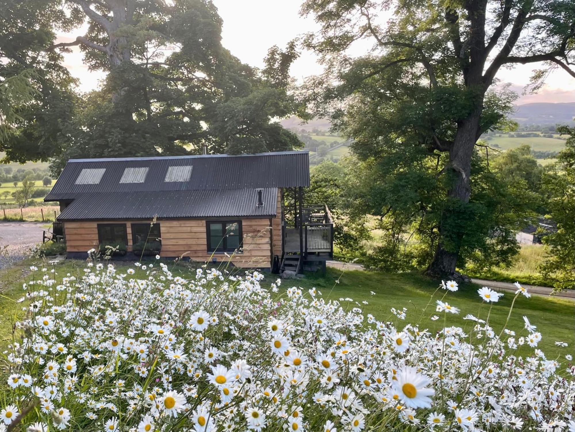 Villa Faraway Follies Llandegla Exterior foto